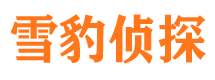 新余市侦探公司